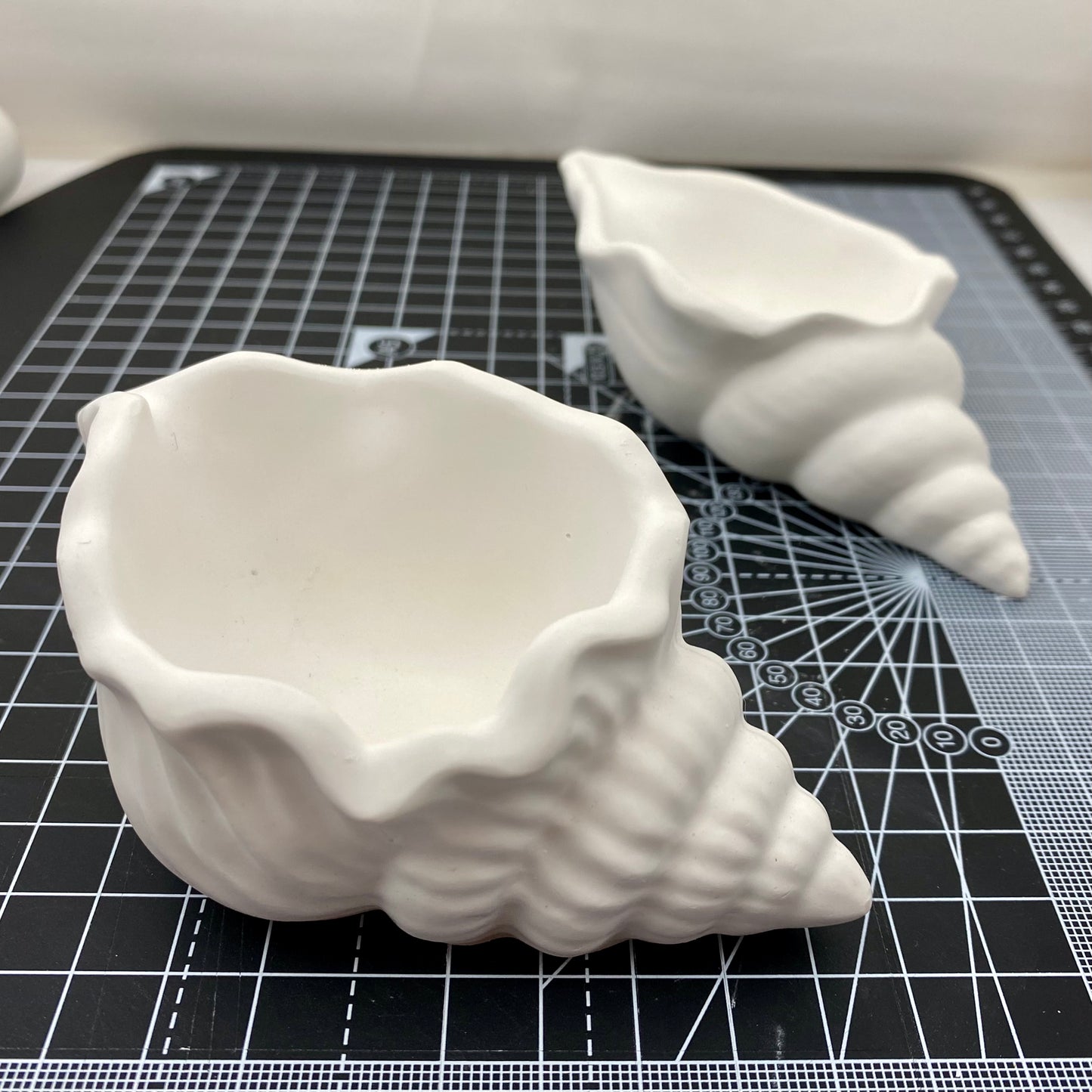 Hand Cast Plaster Shell Pots ready to paint.
