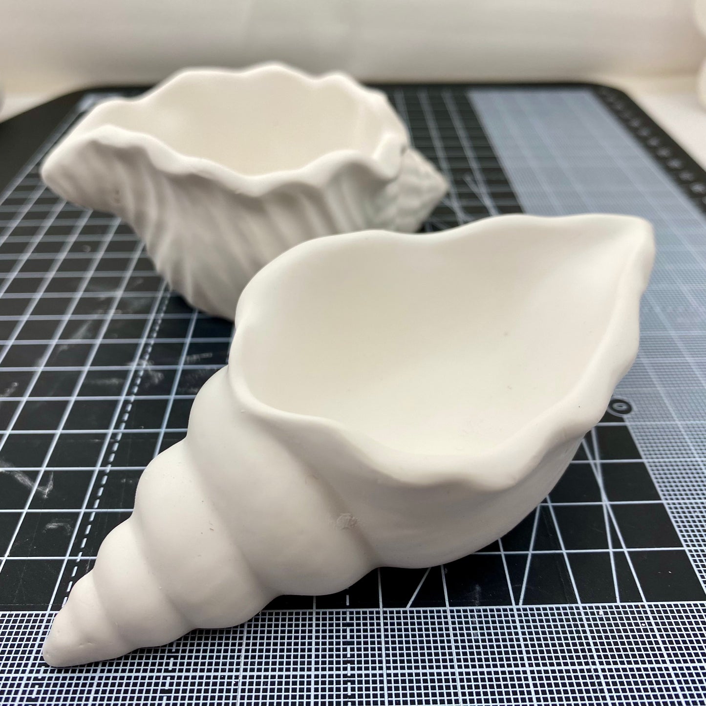 Hand Cast Plaster Shell Pots ready to paint.