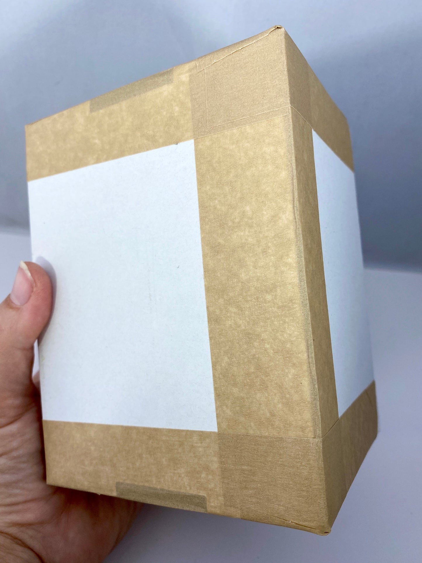 Packaging box