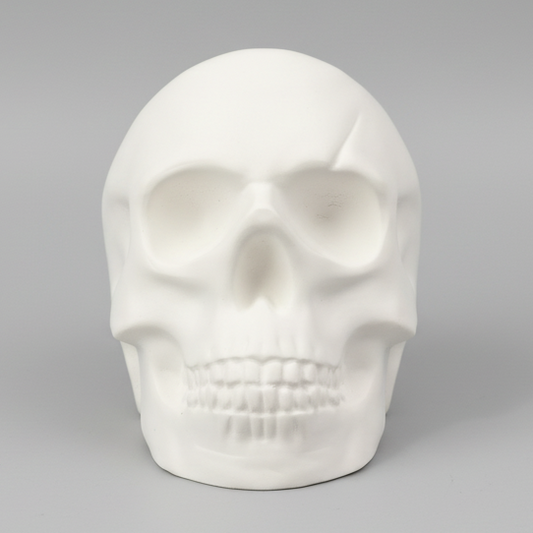 White skull-shaped skull
