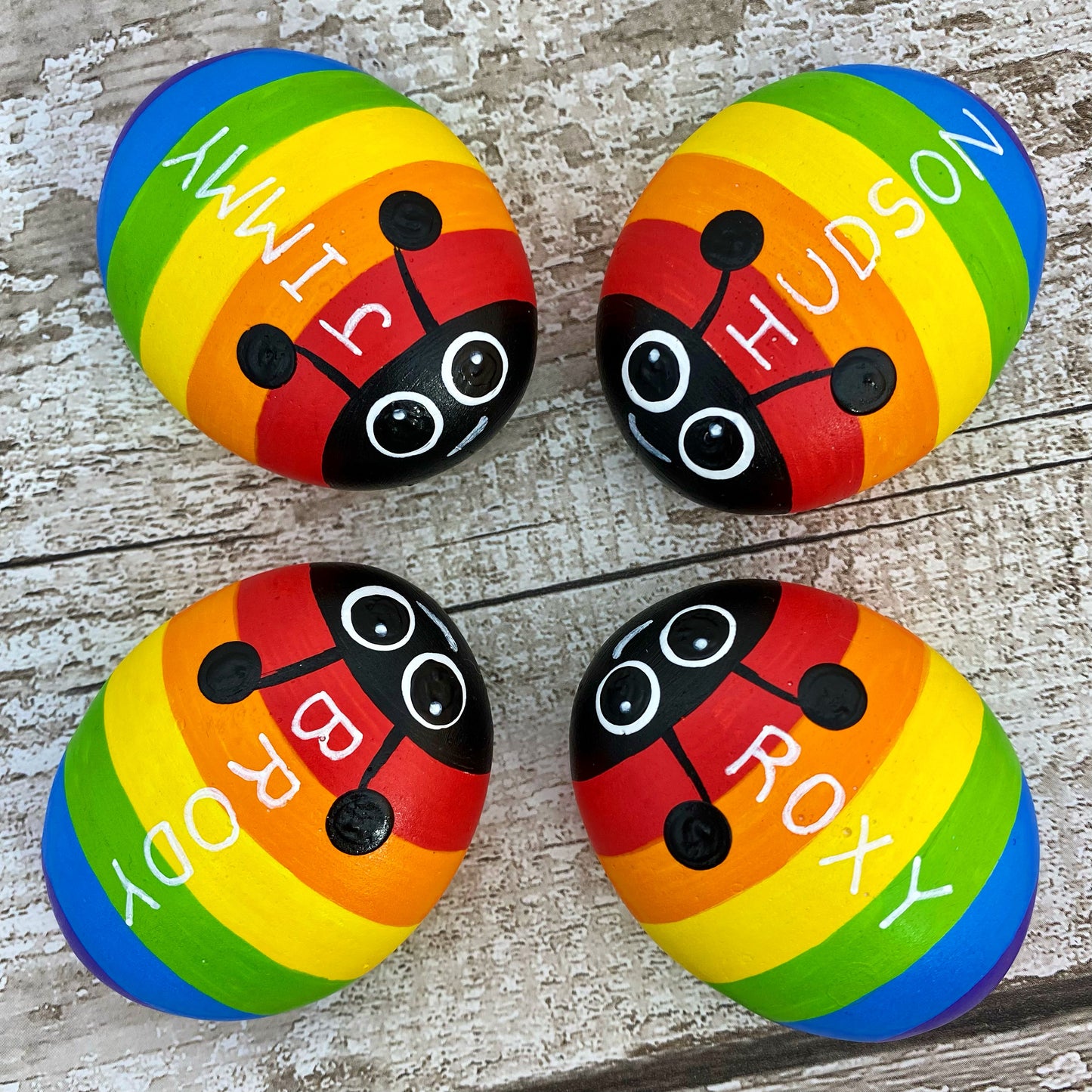 "Rockee" Rainbow Bug Pet Rock