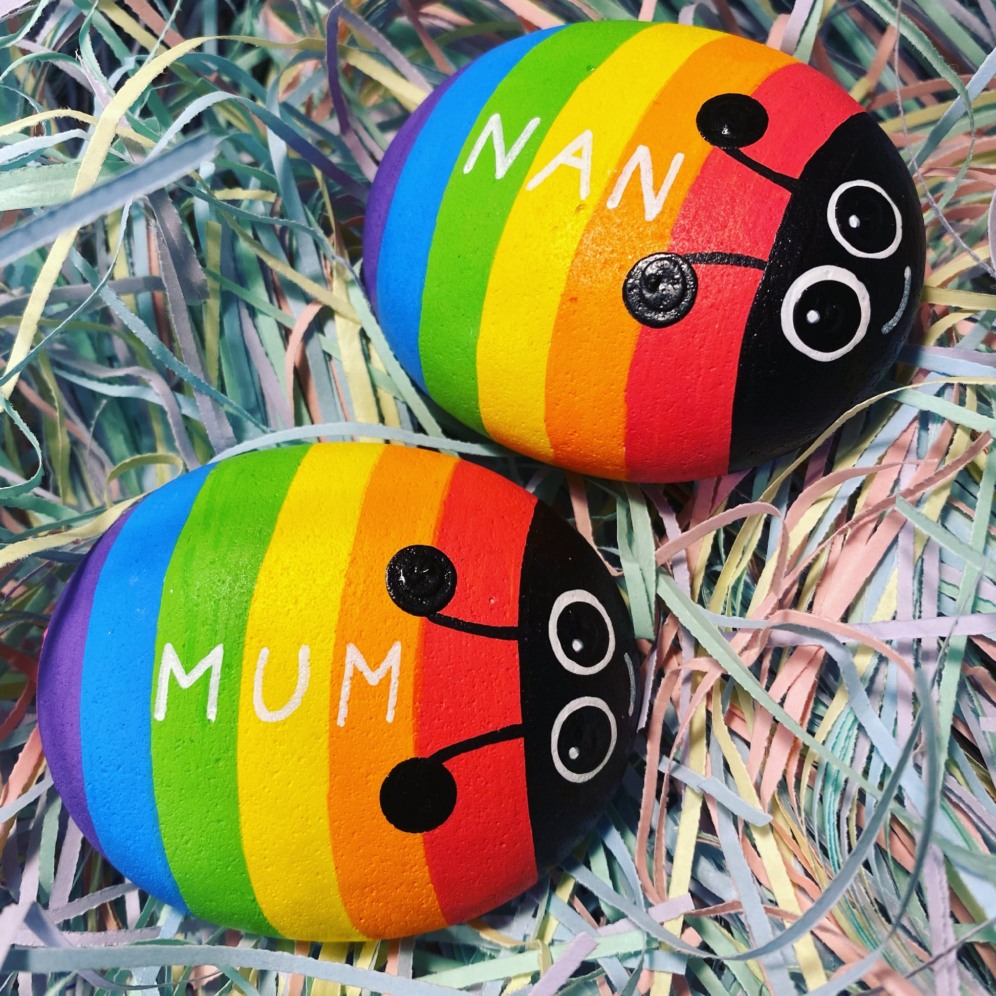 Hand painted Rainbow Bug Pebbles personalised with the names Mum and Nan