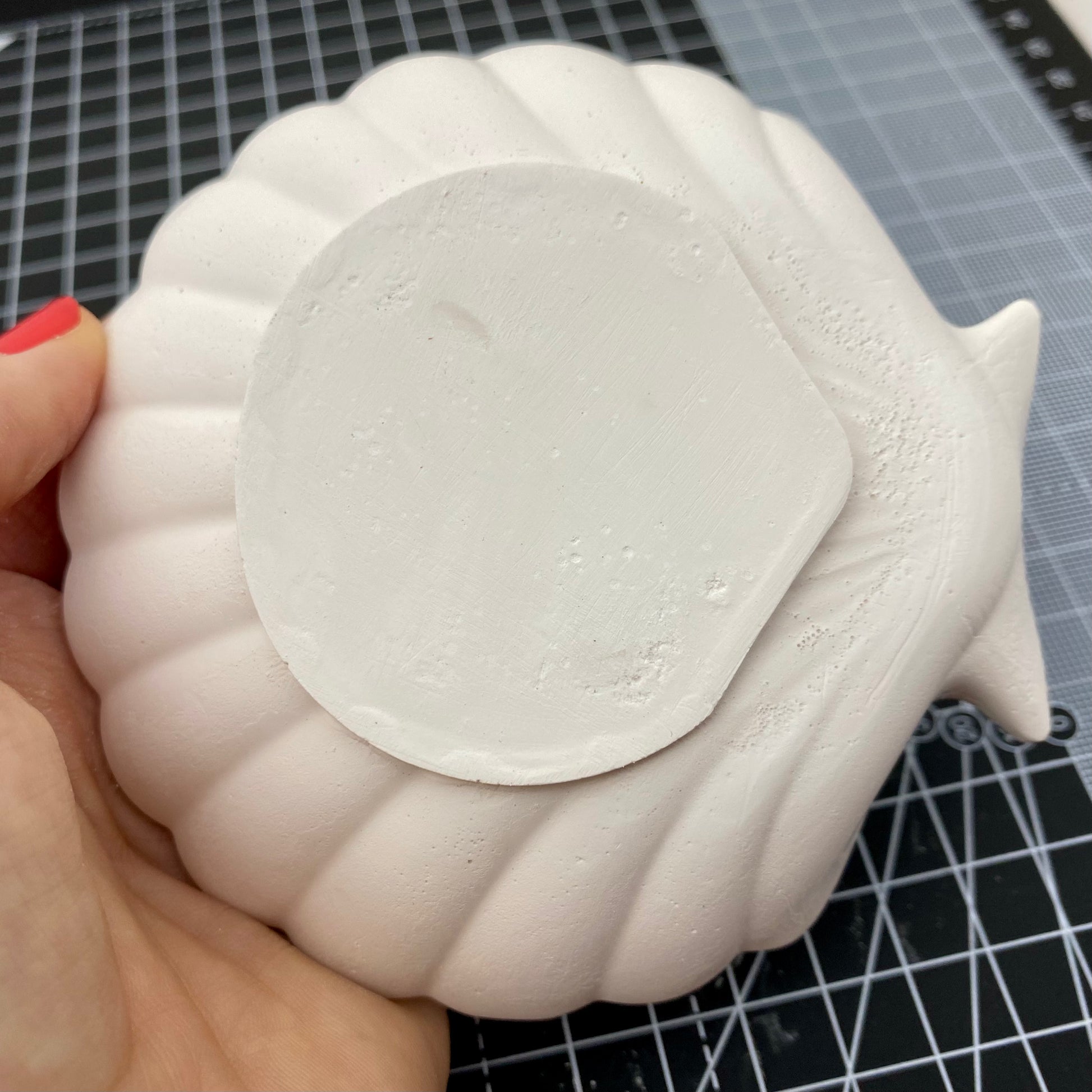Hand Cast Plaster Shell Trinket Tray ready to paint. Bottom view.