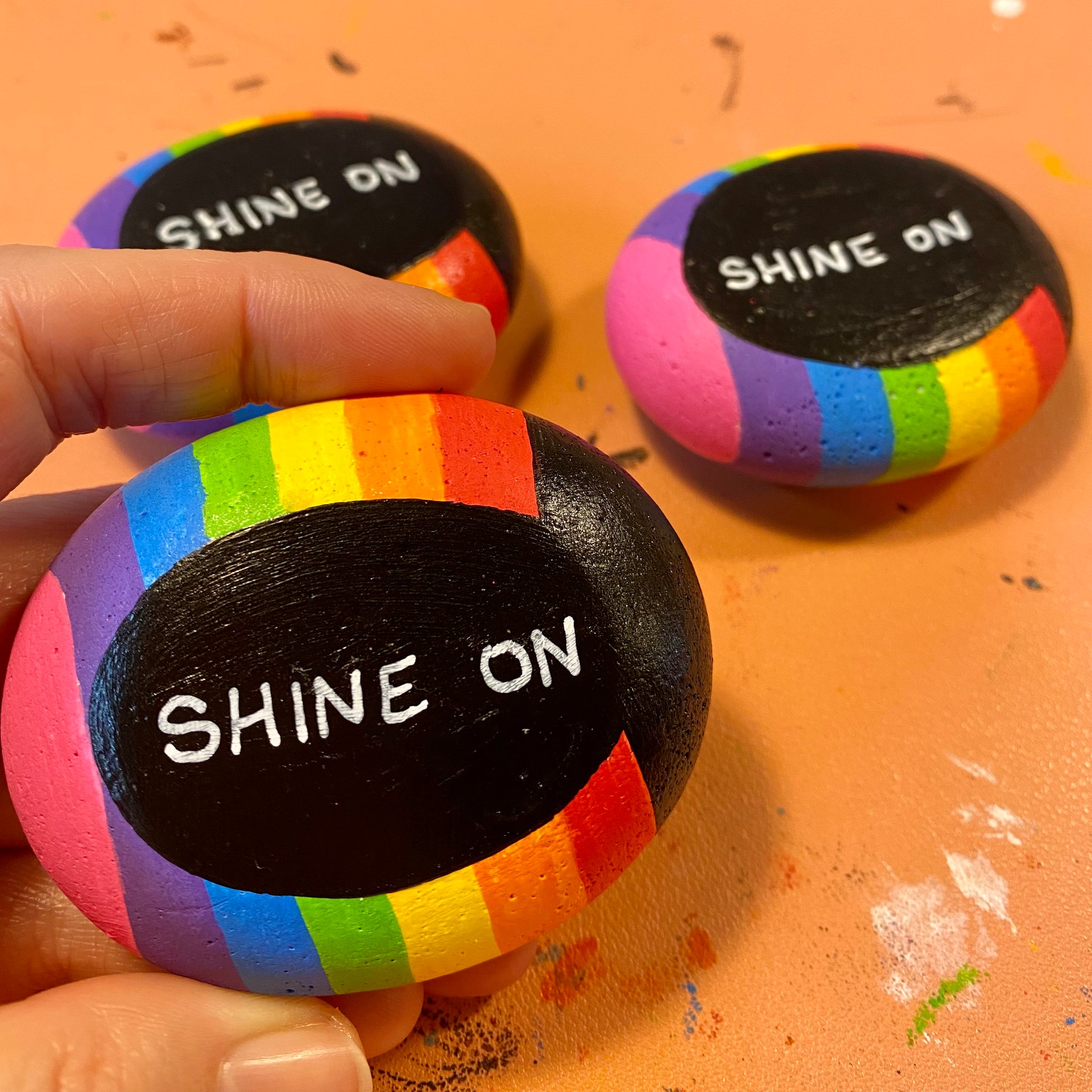 Hand painted Rainbow Bug Pebbles showing Shine On written on the Underside