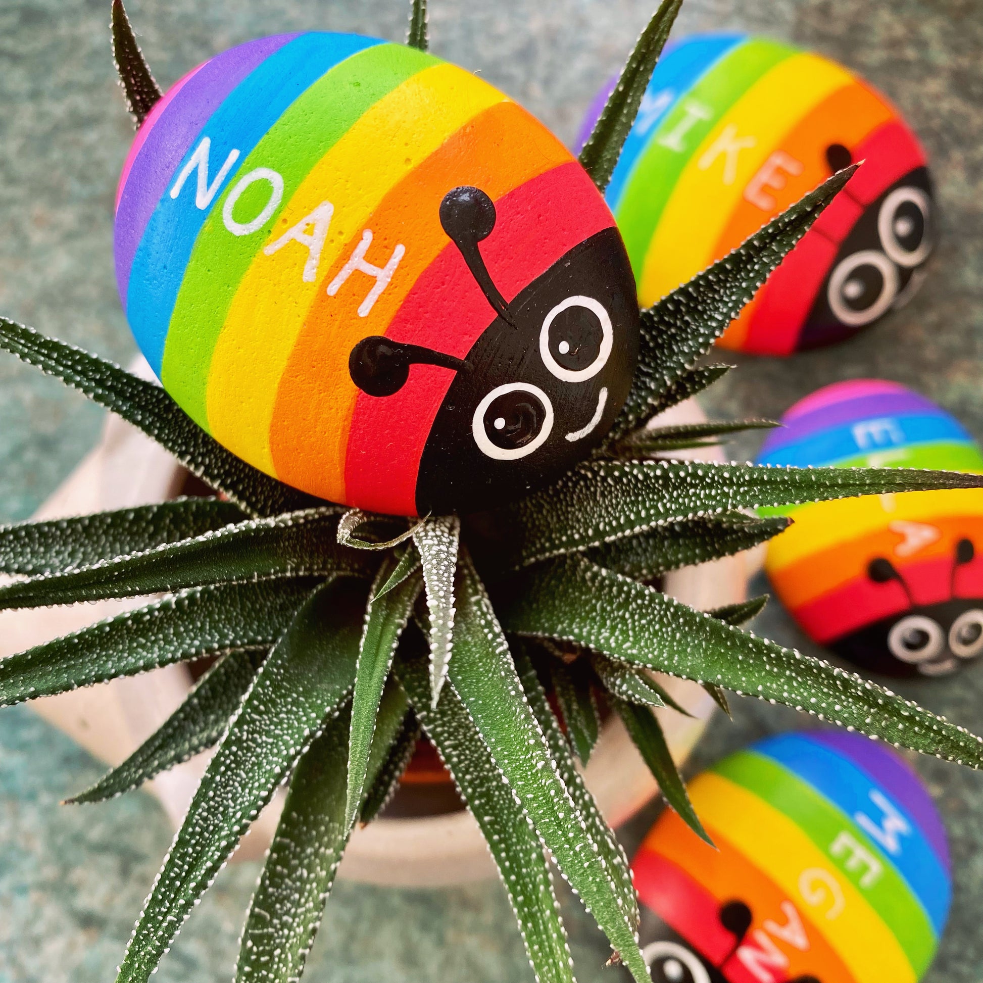 Hand painted Rainbow Bug Pebble personalised with the name Noah, in a plant pot