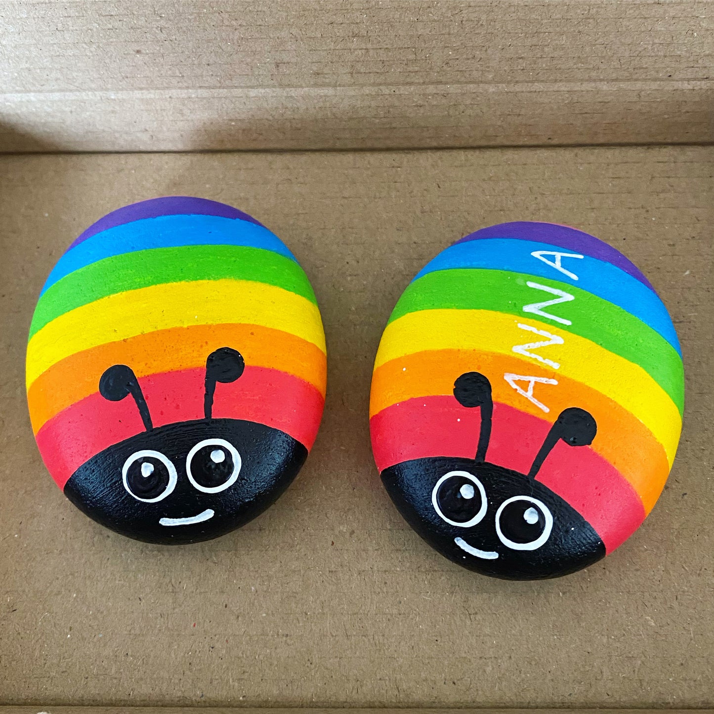 Hand painted Rainbow Bug Pebbles, one personalised with the name Anna