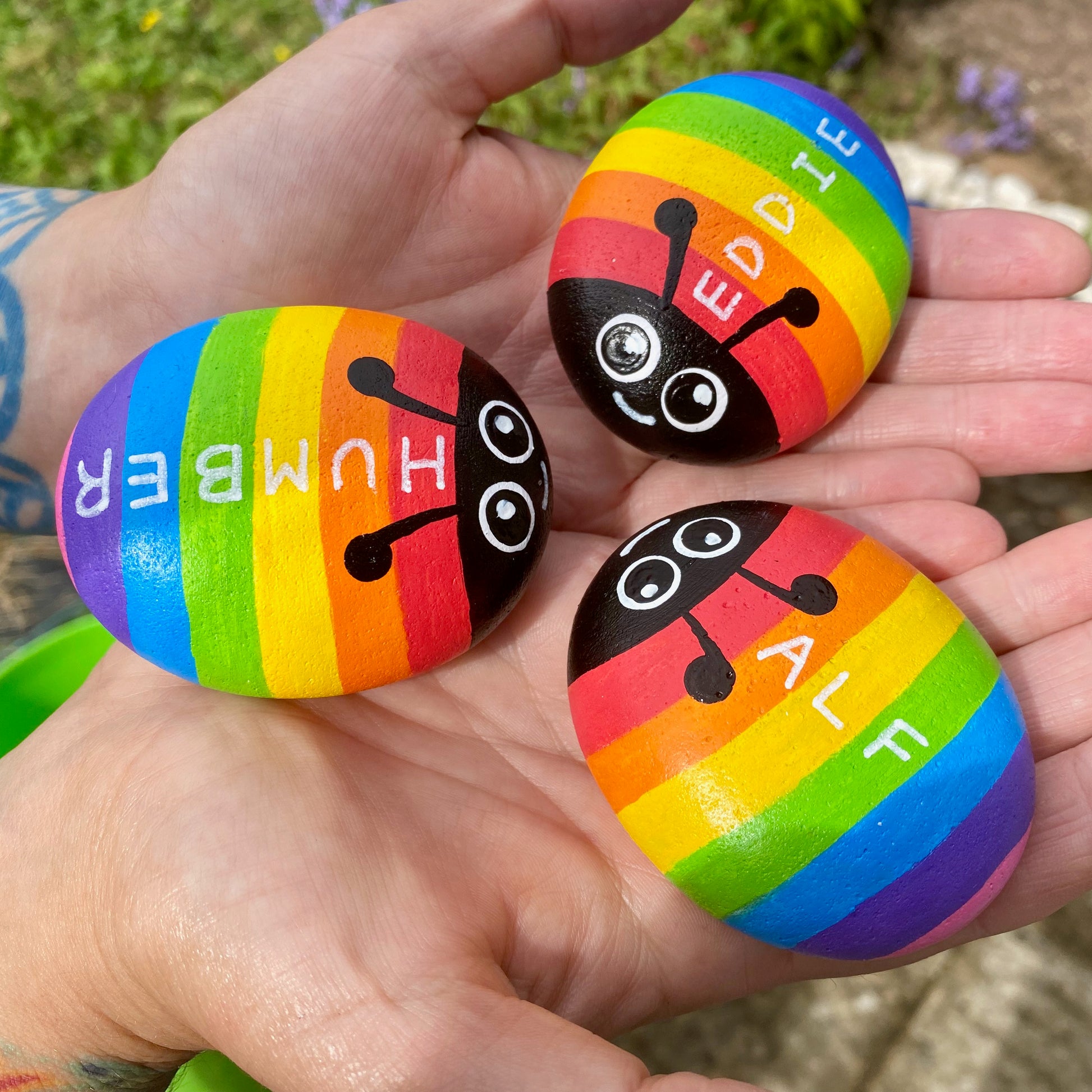 Hand painted Rainbow Bug Pebbles personalised with the names Alf, Eddie and Humber