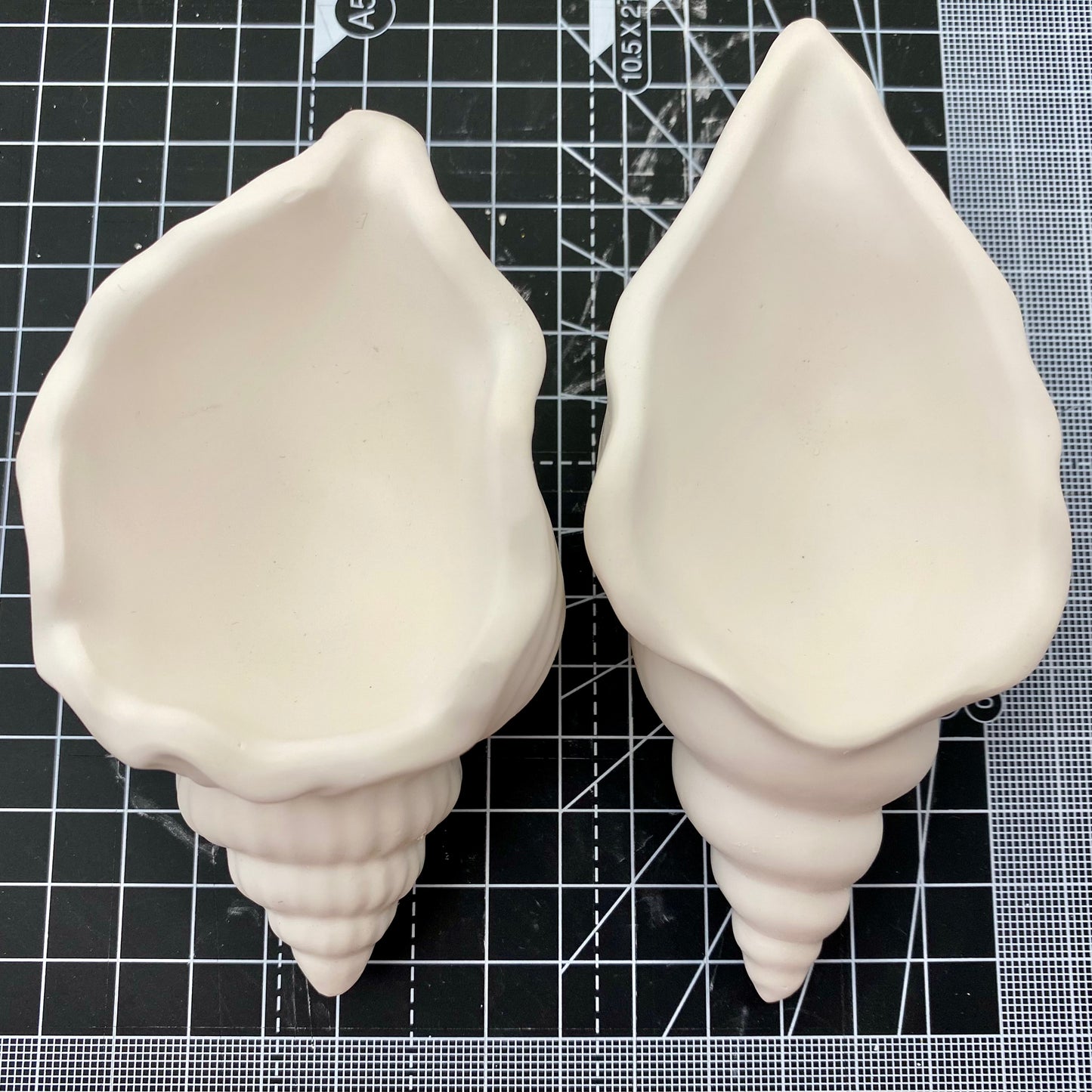 Hand Cast Plaster Shell Pots ready to paint. Viewed from above