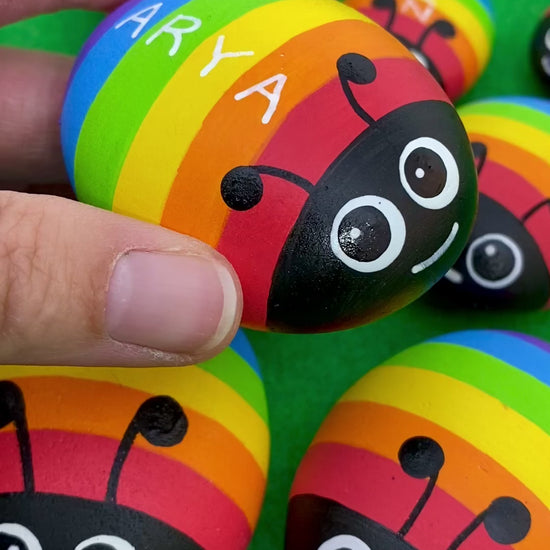 Video of Hand painted Rainbow Bug Pebble personalised with the name Arya